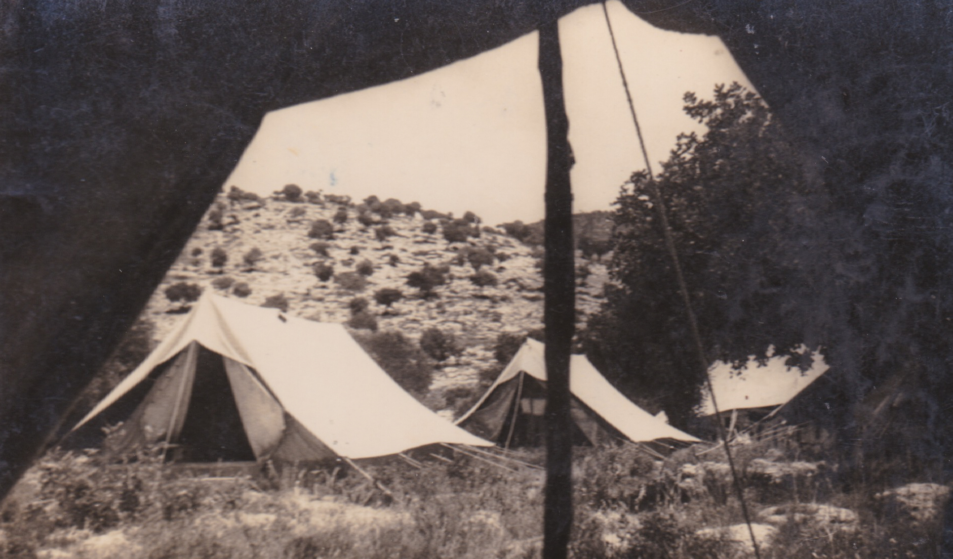 From my tent at Tineh near Haifa - Palestine about March 44
