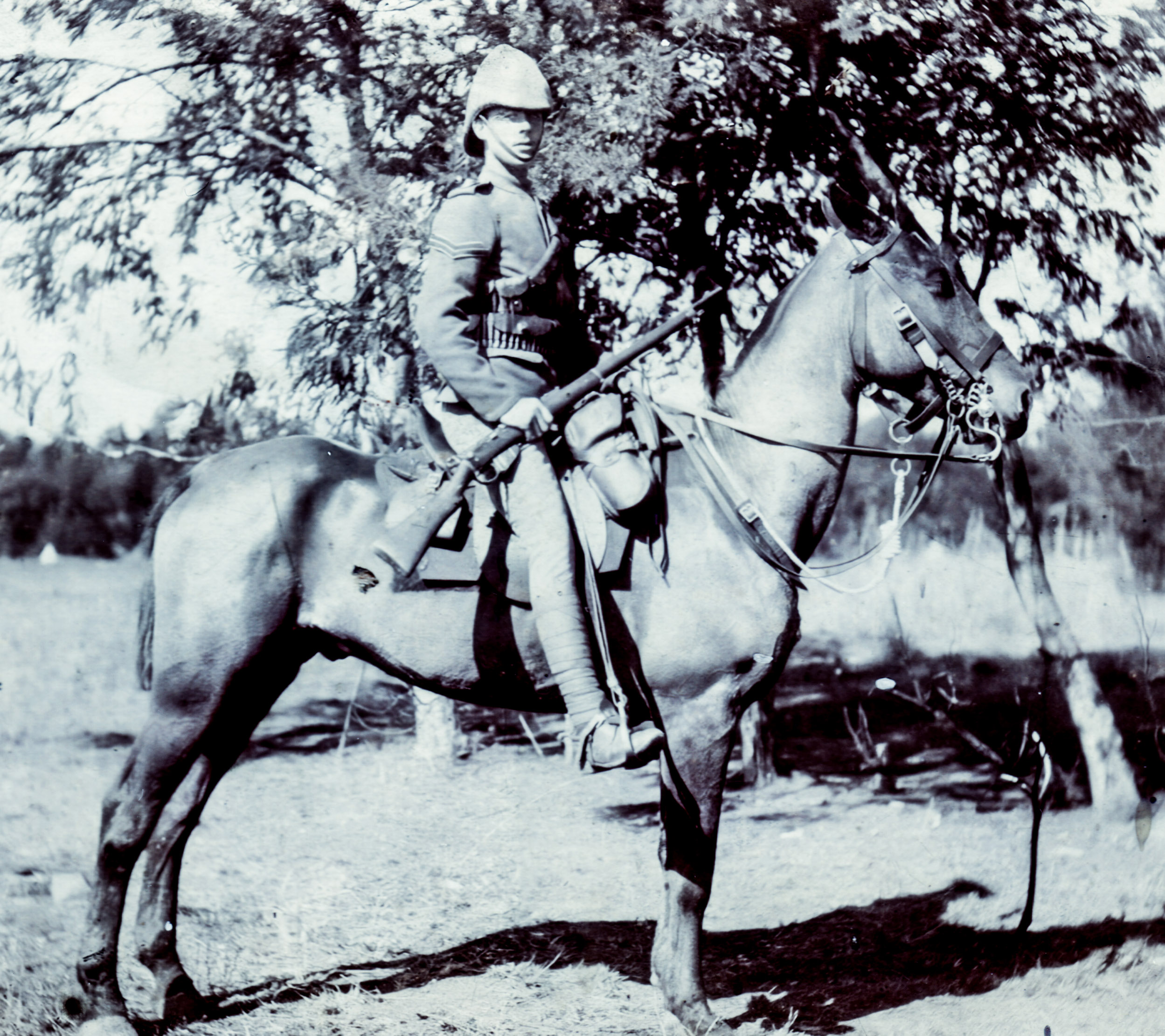 William Eli Birch in the Mounted Infantry, c. 1902 (Photo from the collection of William Birch)
